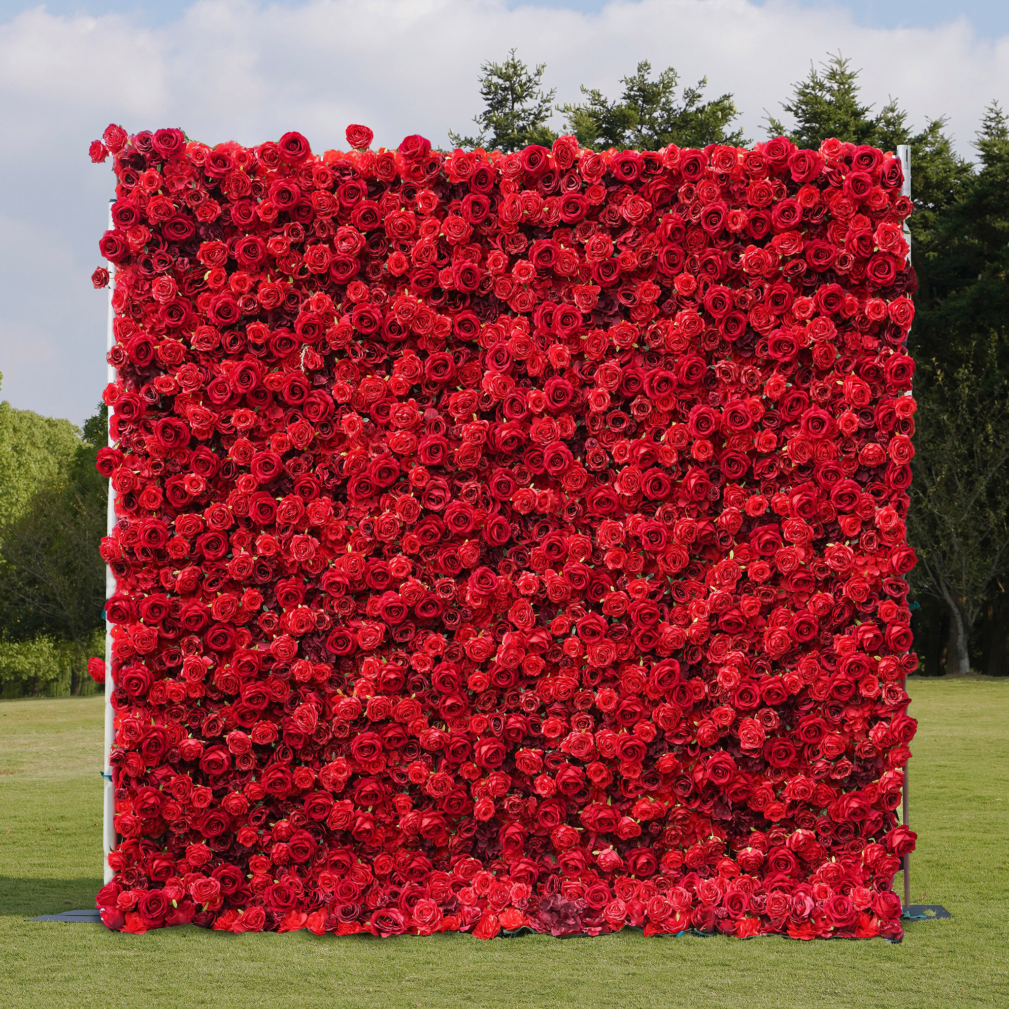 Rose Flower Wall