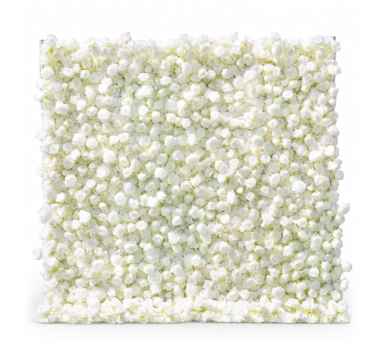 Ivory Flower Wall Rental