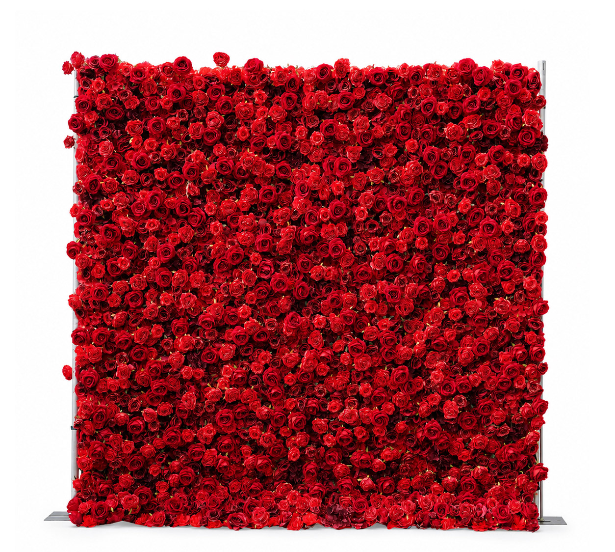 Rose Flower Wall Rental