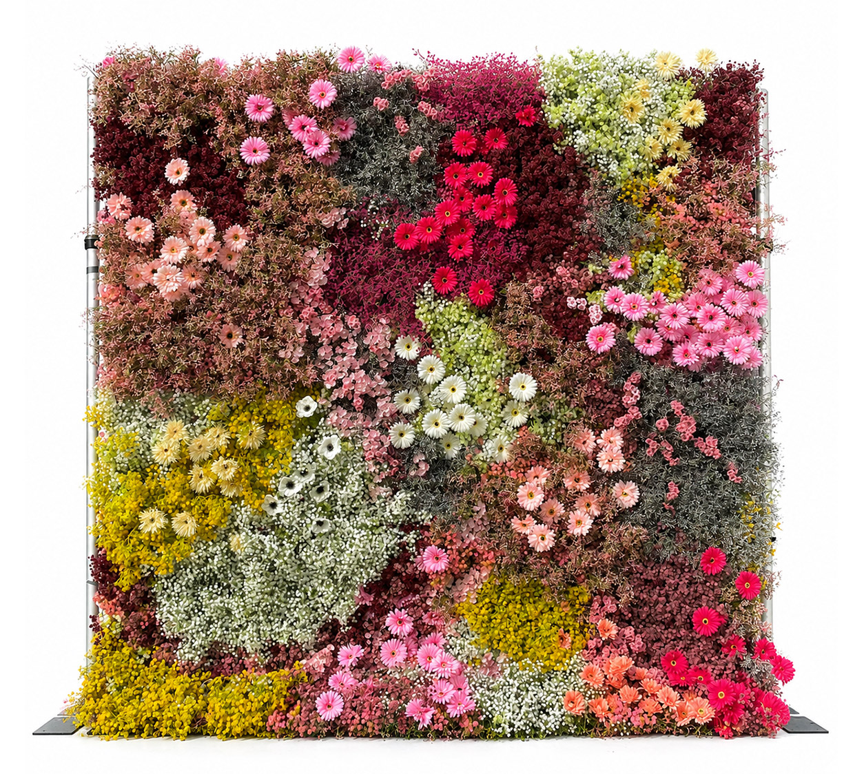 Wildflower Flower Wall Rental